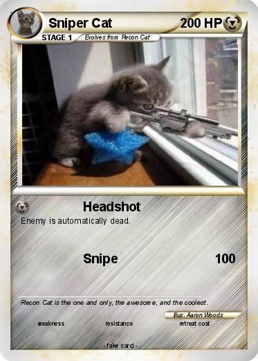 Pokemon Sniper Cat