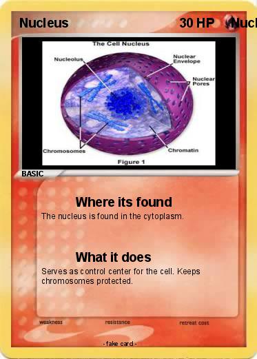 Pokemon Nucleus                                              Nucleus