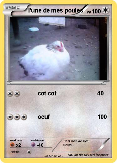 Pokemon l'une de mes poules
