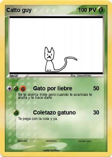 Pokemon Catto guy