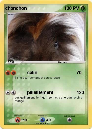 Pokemon chonchon