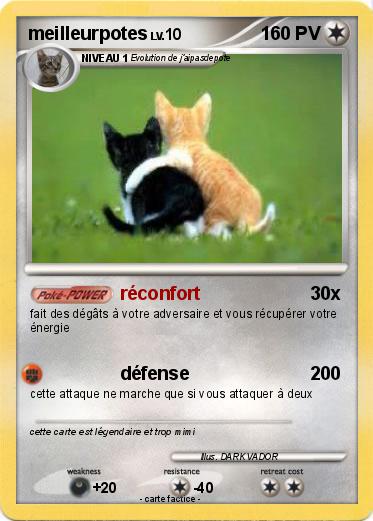 Pokemon meilleurpotes