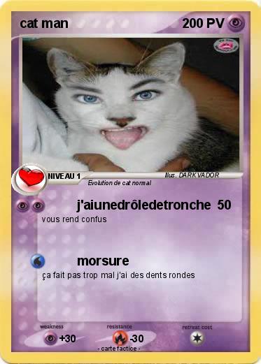 Pokemon cat man