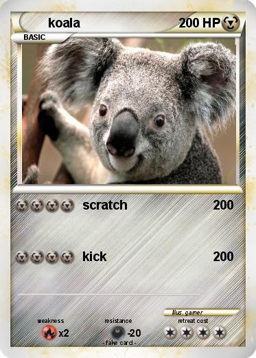 Pokemon koala