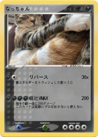 Pokemon なっちゃん