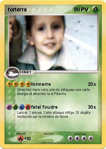 Pokemon torterra
