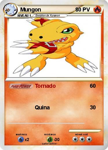 Pokemon Mungon
