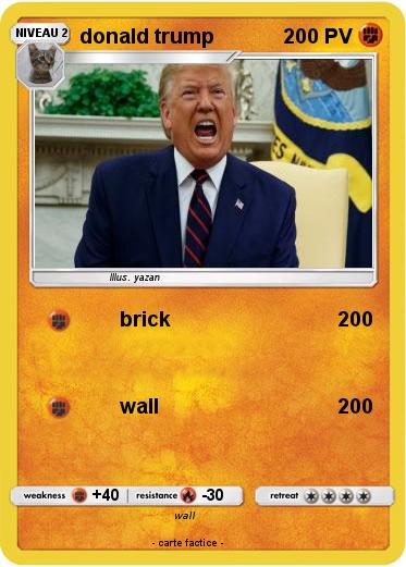 Pokemon donald trump