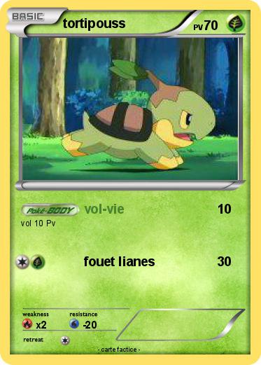 Pokemon tortipouss