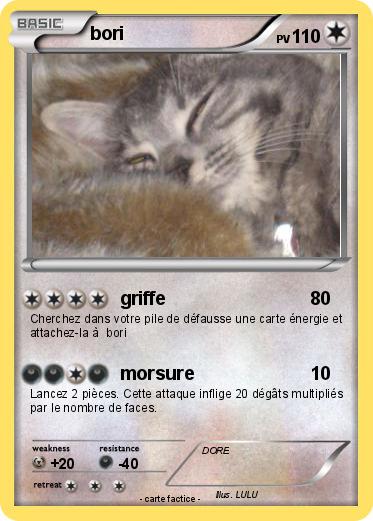 Pokemon bori