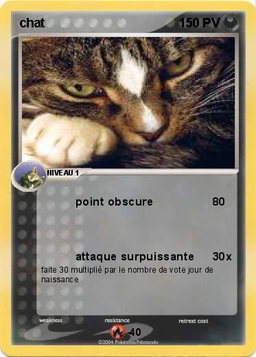 Pokemon chat