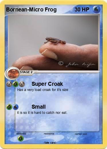 Pokemon Bornean-Micro Frog
