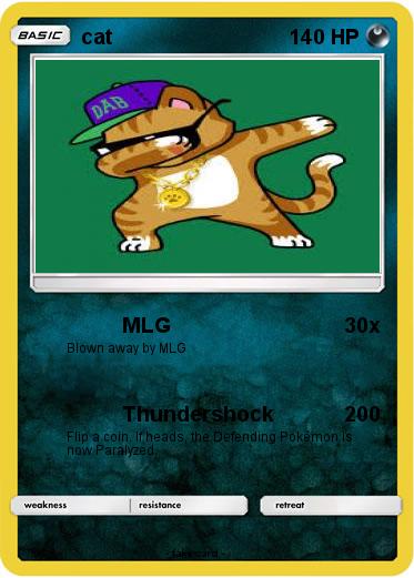 Pokemon cat