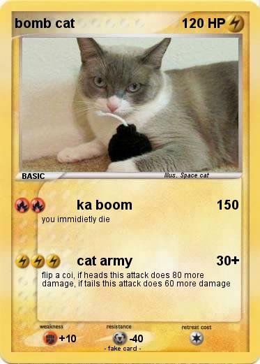 Pokemon bomb cat