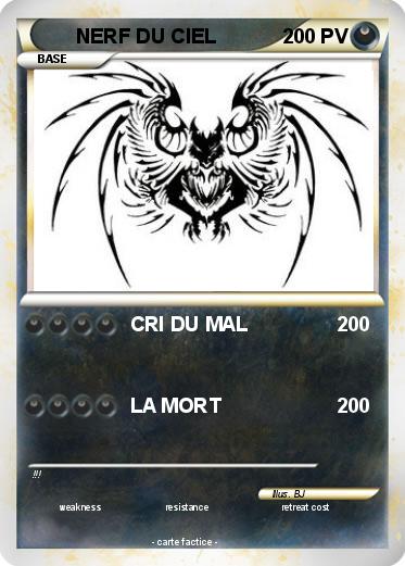 Pokemon NERF DU CIEL