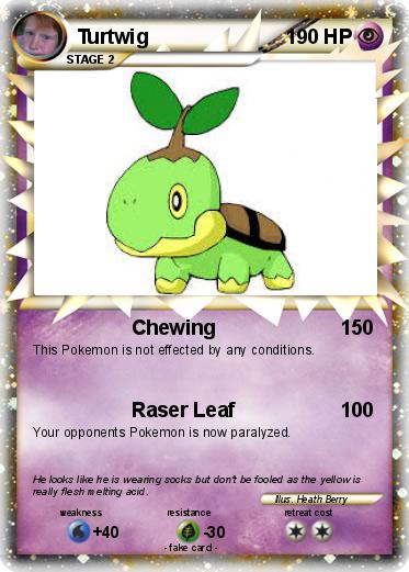 Pokemon Turtwig