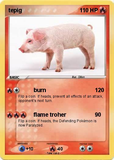 Pokemon tepig