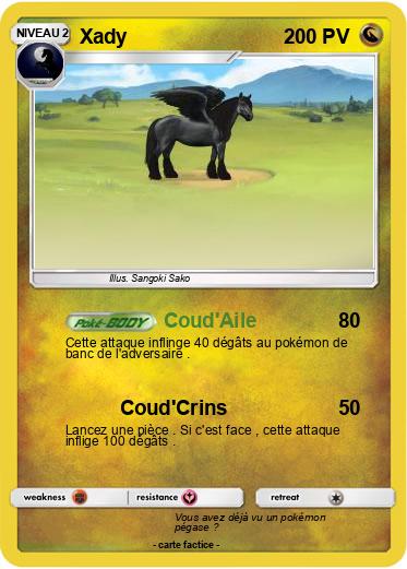 Pokemon Xady
