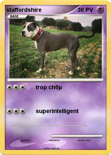 Pokemon staffordshire