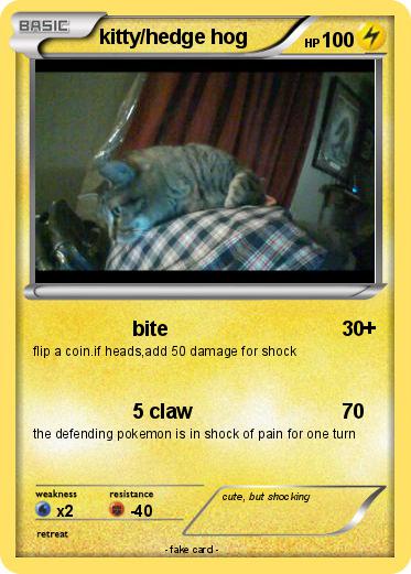 Pokemon kitty/hedge hog