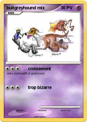 Pokemon bullgreyhound mix