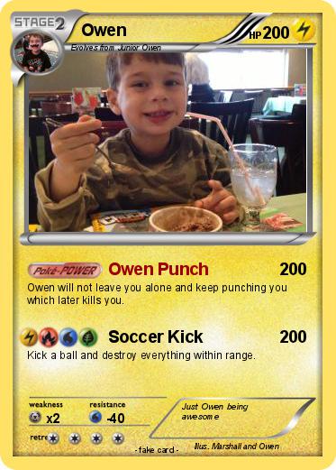 Pokemon Owen