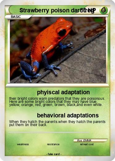 Pokemon Strawberry poison dart frog