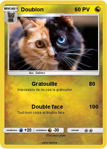 Pokemon Doublon