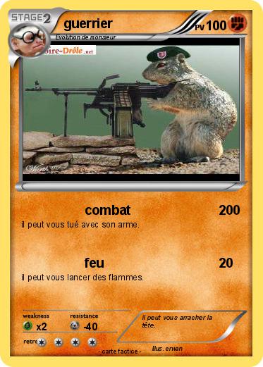 Pokemon guerrier
