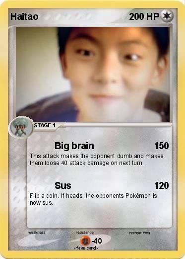 Pokemon Haitao