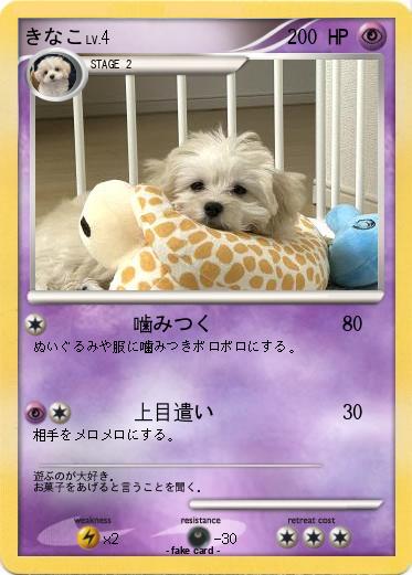 Pokemon きなこ