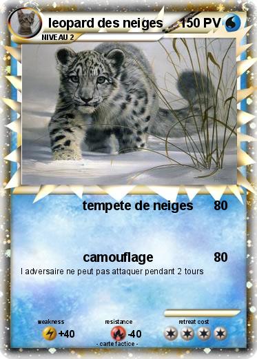 Pokemon leopard des neiges