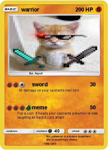 Pokemon warrior