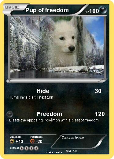 Pokemon Pup of freedom