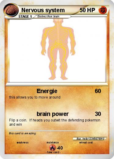 Pokemon Nervous system