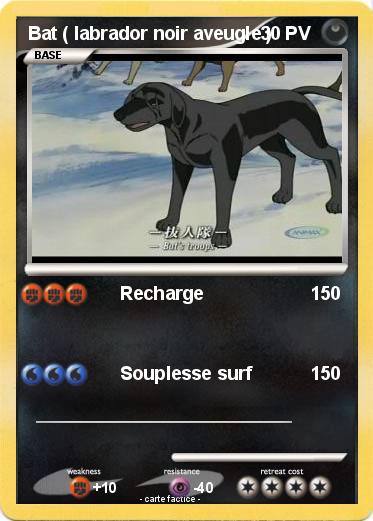 Pokemon Bat ( labrador noir aveugle )