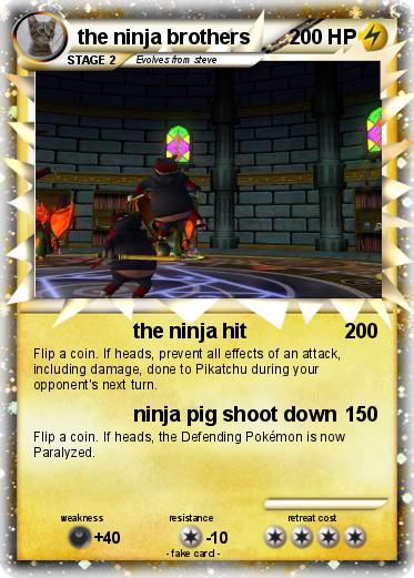 Pokemon the ninja brothers