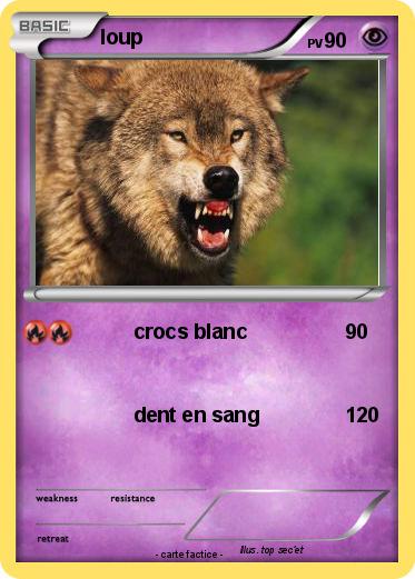 Pokemon loup
