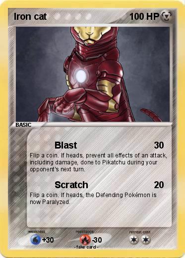 Pokemon Iron cat