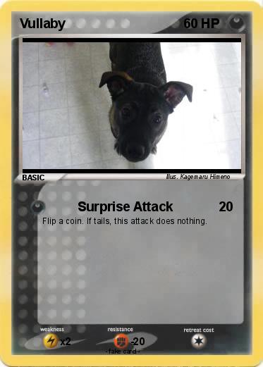Pokemon Vullaby