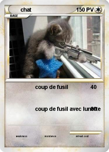 Pokemon chat