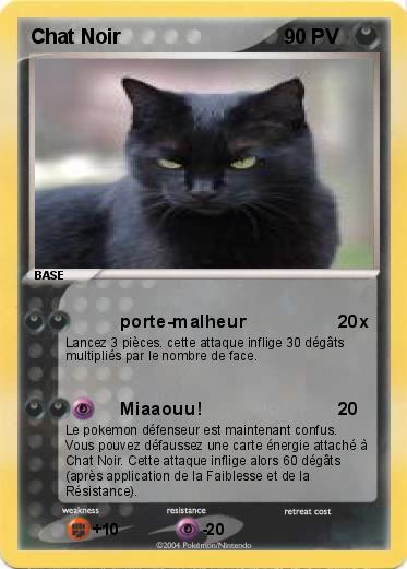 Pokemon Chat Noir 