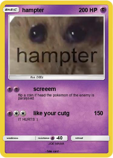 Pokemon hampter