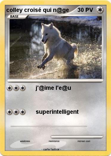 Pokemon colley croisé qui n@ge