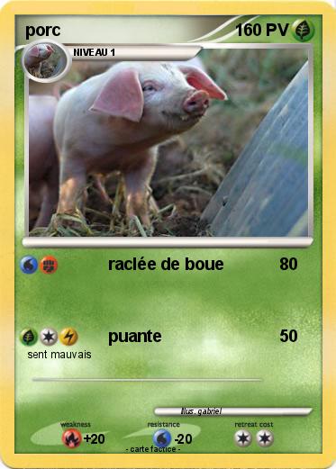 Pokemon porc