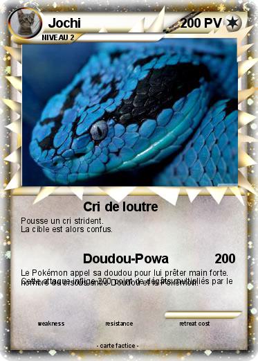 Pokemon Jochi