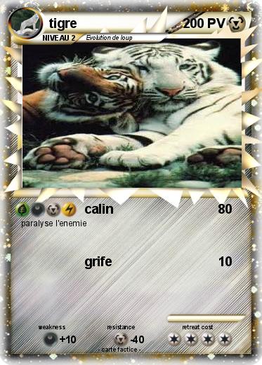 Pokemon tigre