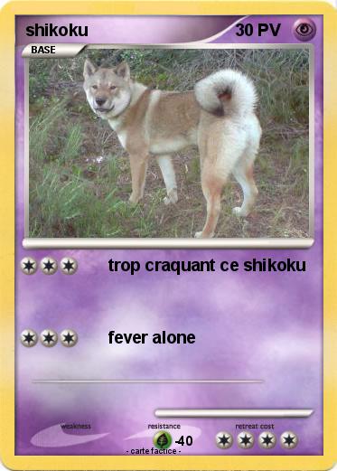 Pokemon shikoku