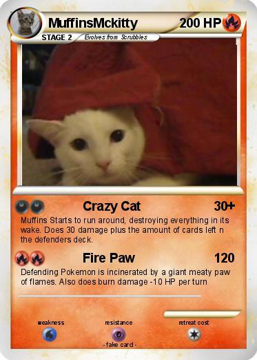 Pokemon MuffinsMckitty