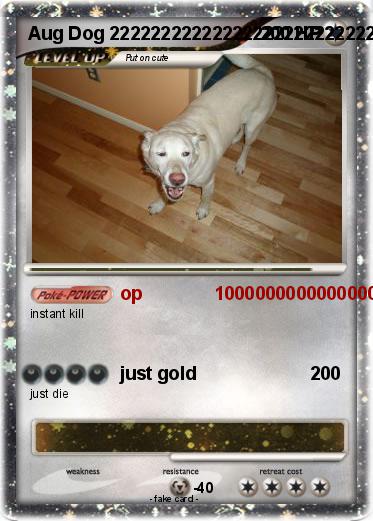 Pokemon Aug Dog 2222222222222222222222222222222222222222222222222222222222222222222